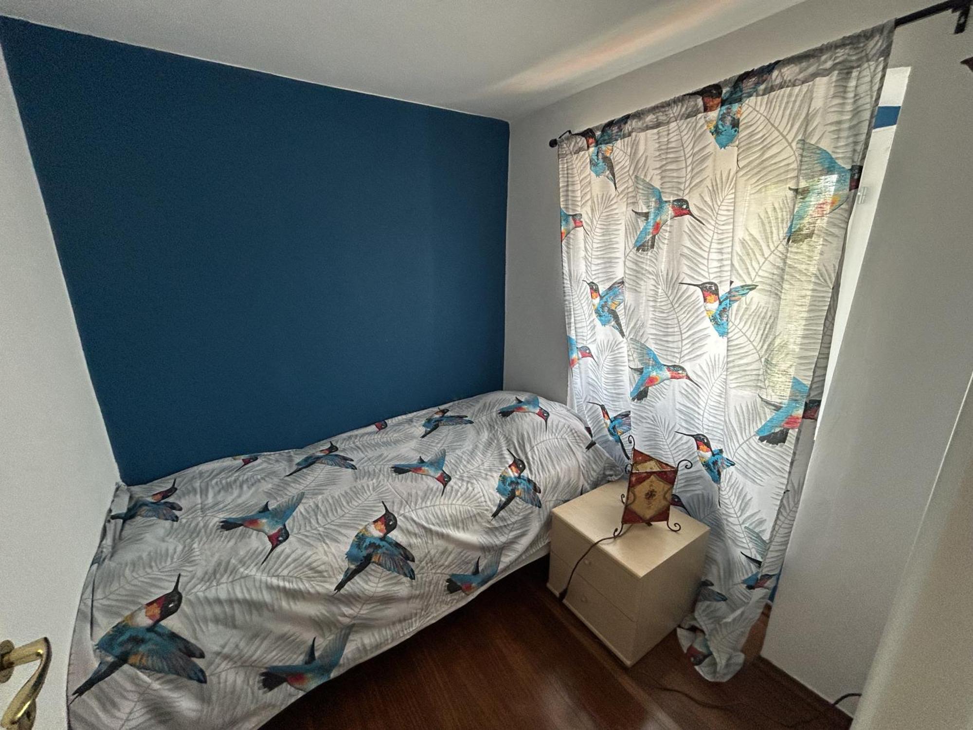 Apartment Aquavista With Sea View Ρόβινι Εξωτερικό φωτογραφία